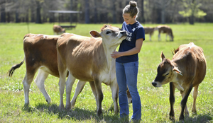 Careers That Allow You to Work with Animals